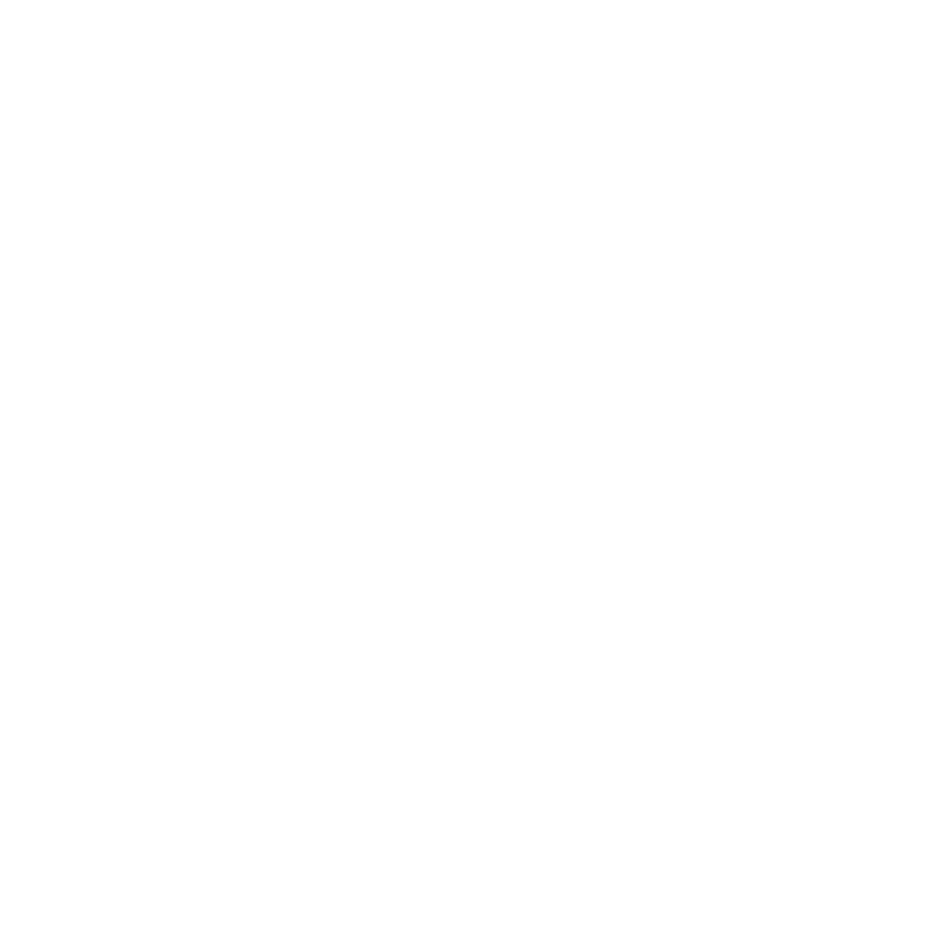 Novara International