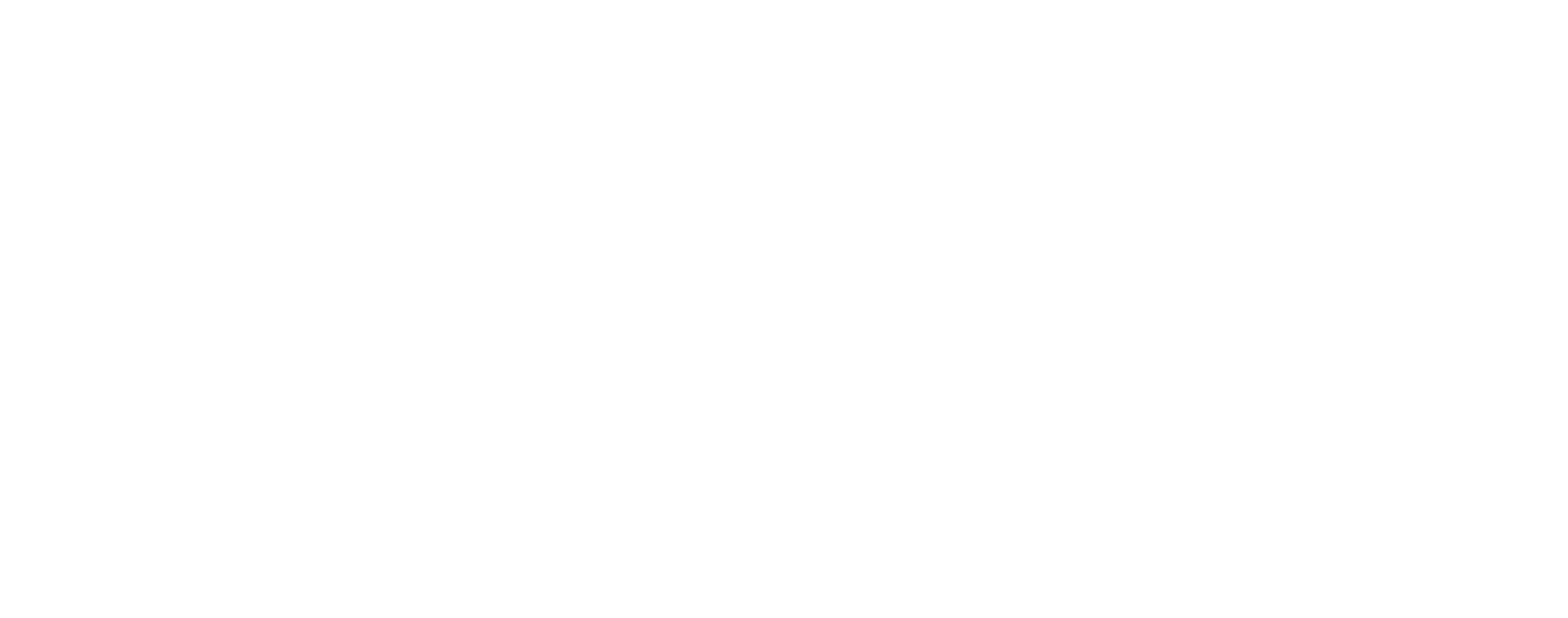 Novara International