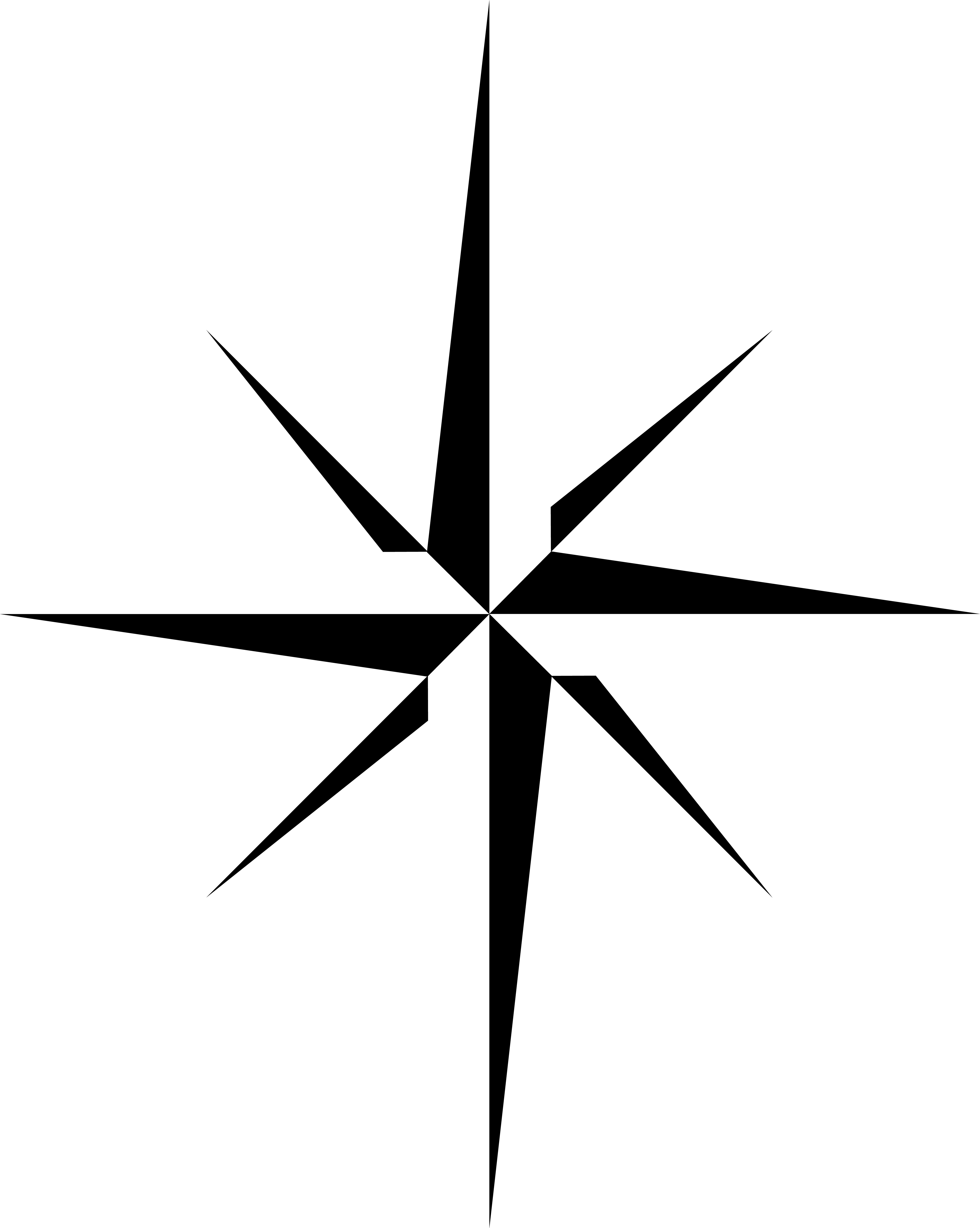 Novara International